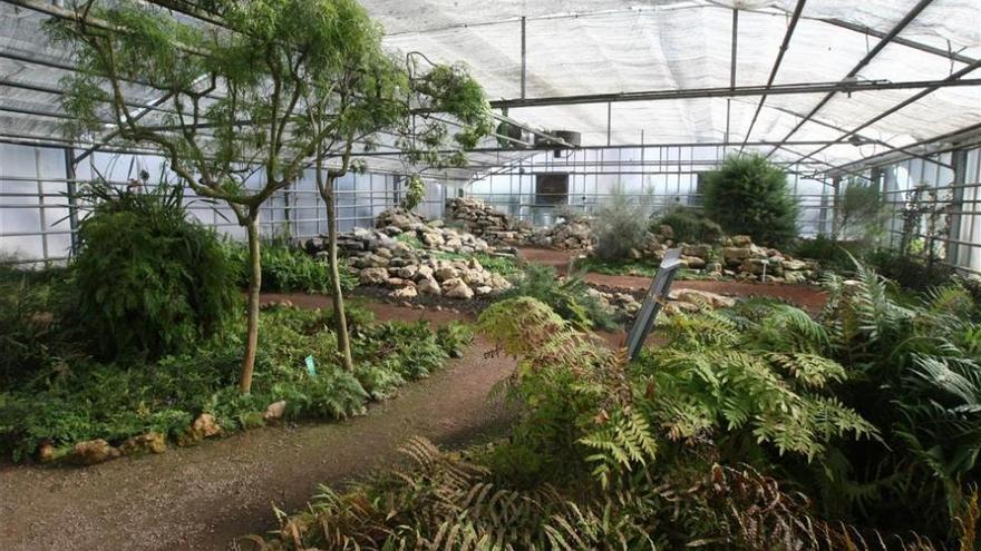 El Jardín Botánico prepara un amplio programa de actividades para enero