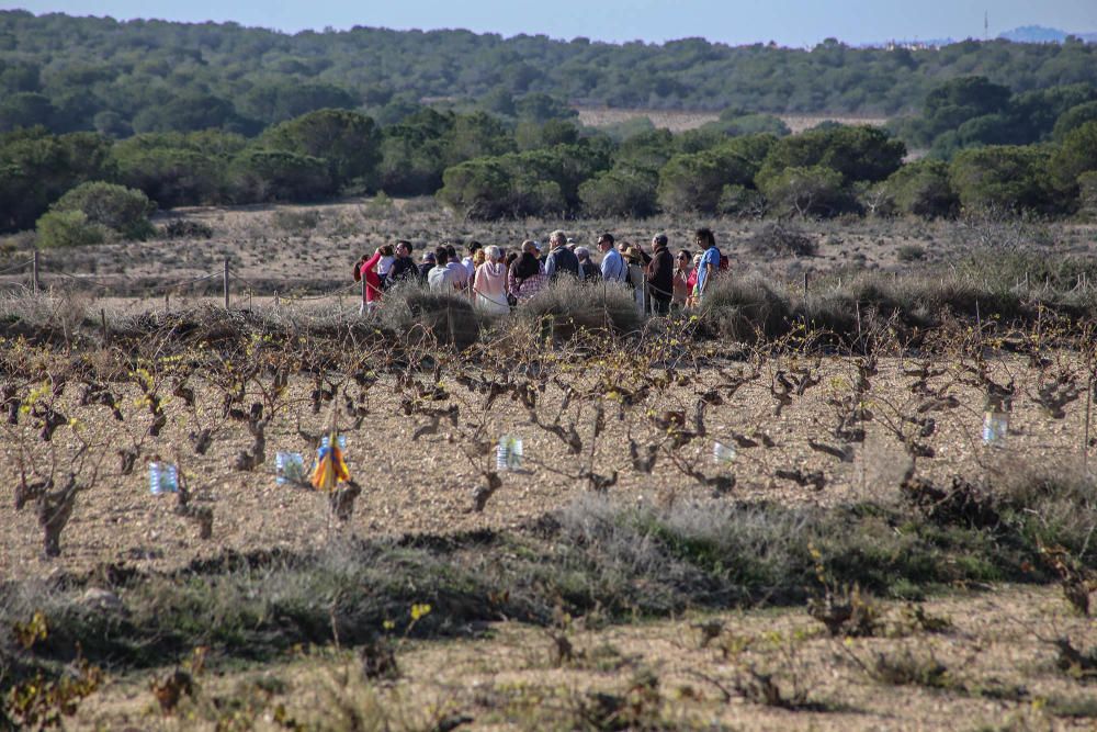 Ruta ecoturistica por el parque natural de La Mata