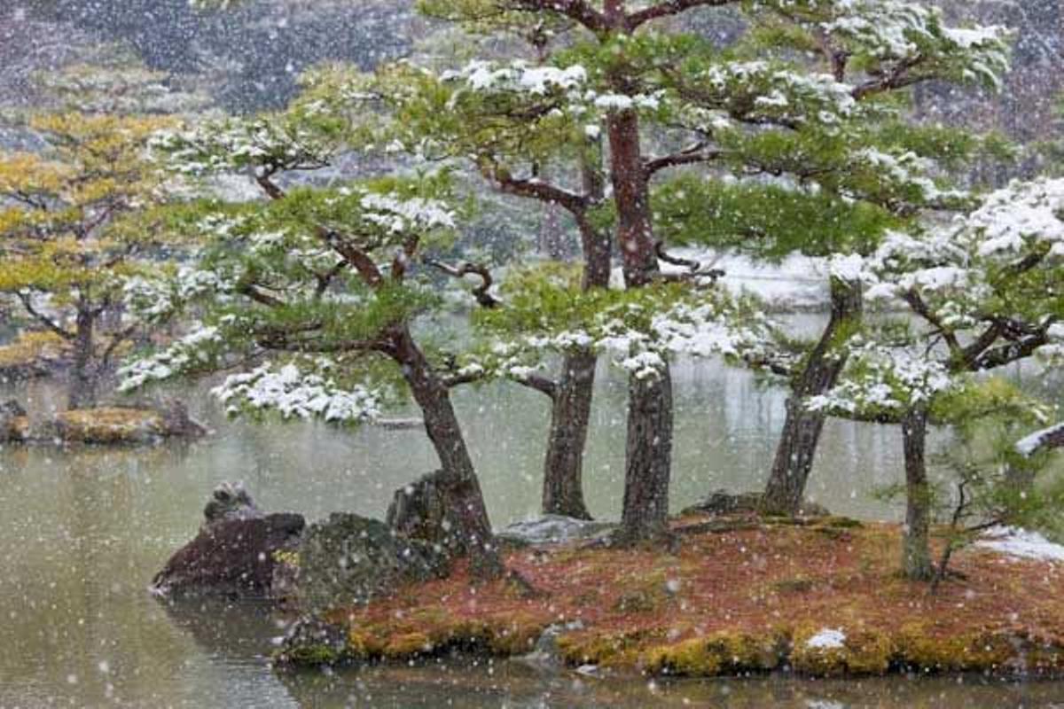 Templo de Kinkakuji nevado en invierno. Este templo, declarado Patrimonio de la Humanidad, se encuentra al noroeste de Kyoto.