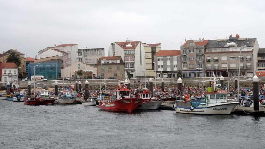 La flota de A Illa reclama desde hace años más plazas de amarre en O Xufre. // Noé Parga