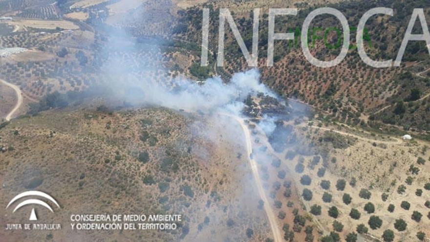 Un incendio forestal ha sido declarado este domingo en el paraje Río Turón.