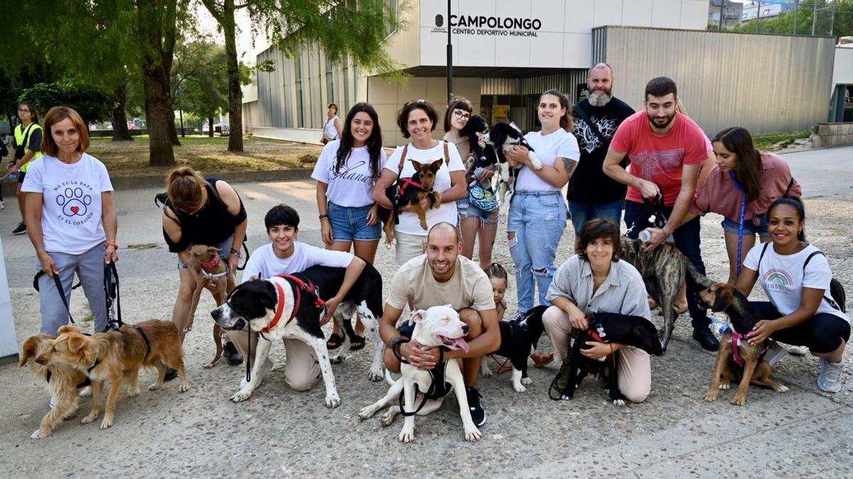 Fotografía de grupo de &quot;peludos&quot; en adopción de Ohana.