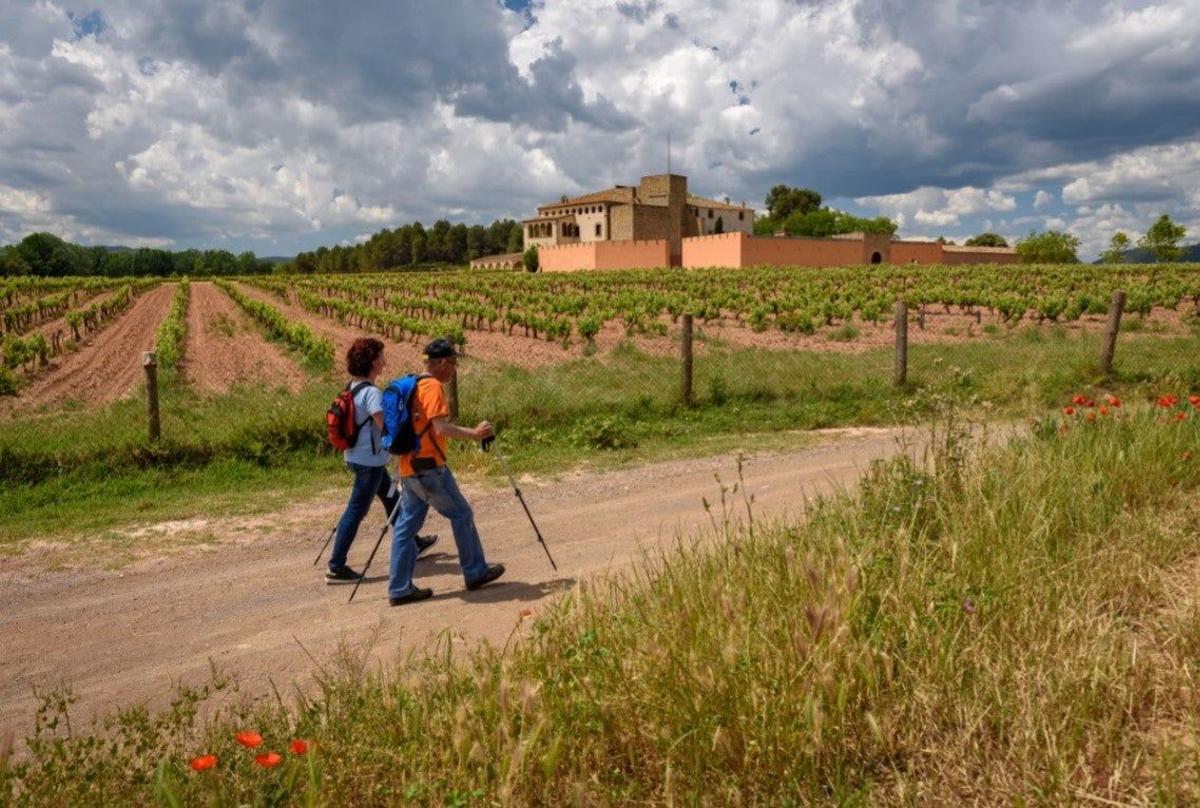 Senderismo entre viñedos en el Bages