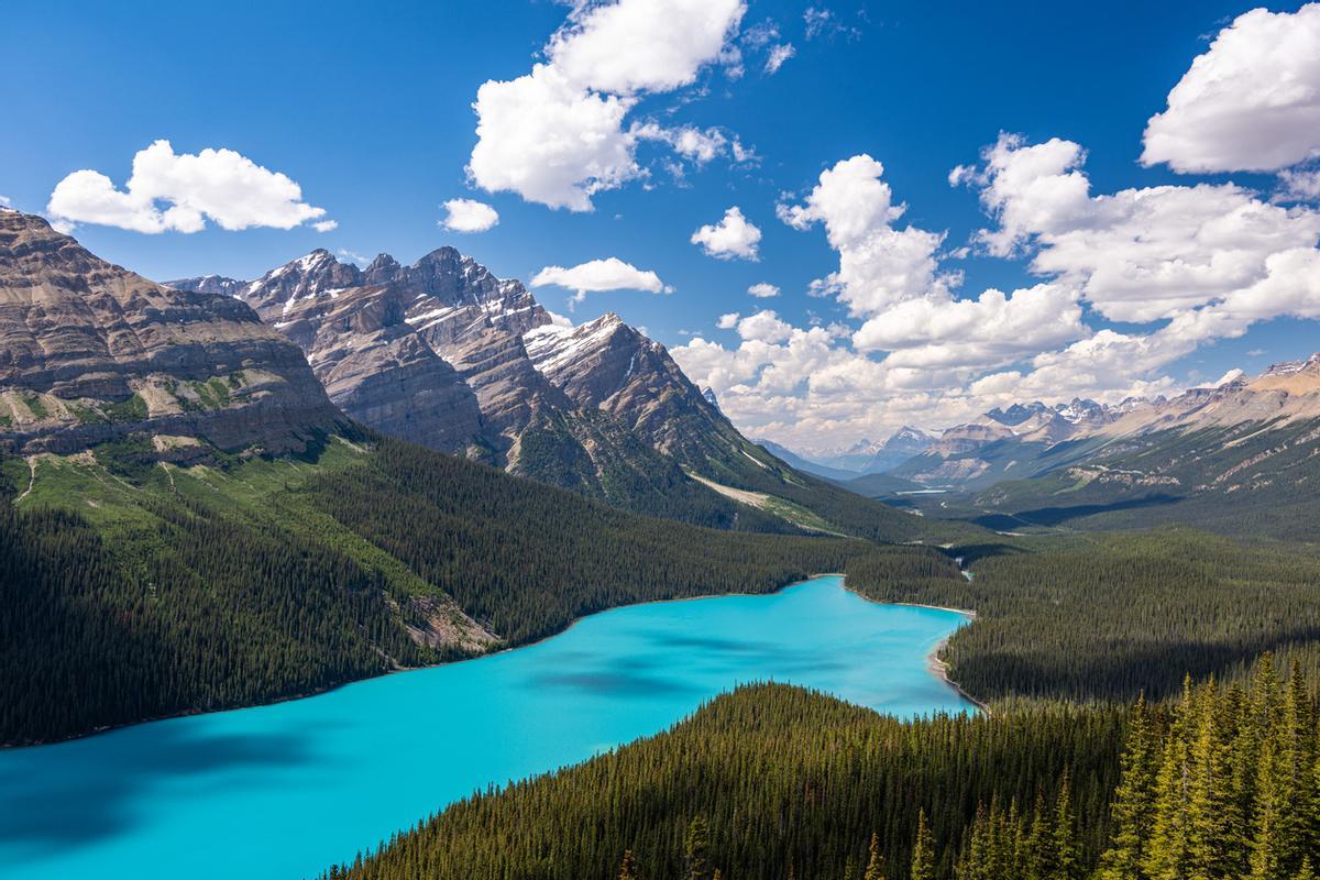 El Lago Peyto es uno de los puntos más espectaculares de la Icefields Parkway (Carretera de los Campos de Hielo), en las Montañas Rocosas de Canadá. Famoso por su intenso color turquesa y su icónica forma de cabeza de zorro, se encuentra en el Parque Nacional Banff, a 40 km al norte de Lake Louise