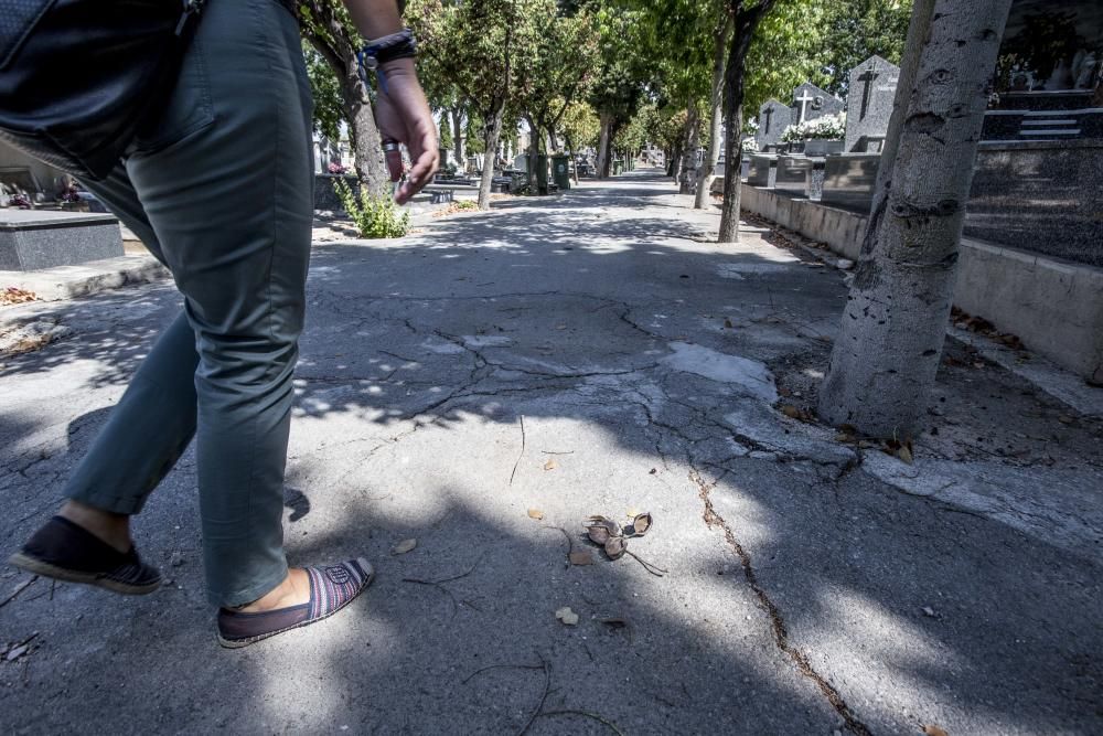 Visitantes critican la imagen actual del camposanto de la capital, que acumula falta de mantenimiento y de limpieza.