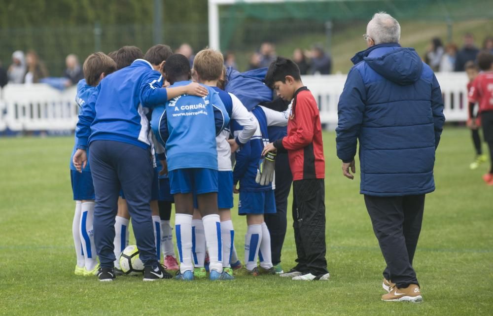 La ciudad deportiva recibe a 206 equipos de 81 clubes - 94 compiten en categoría prebenjamín y 112 en benjamín