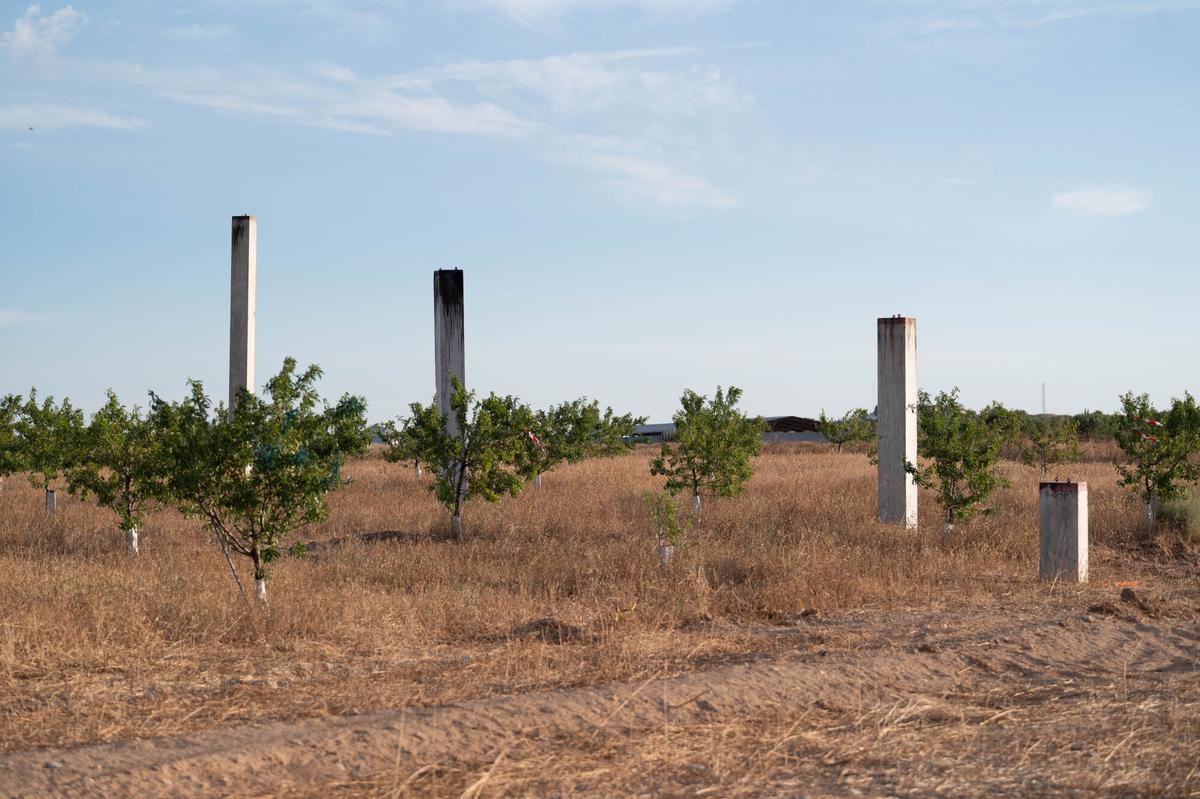Primeros movimientos en el terreno de Microsoft en Villamayor de Gállego.