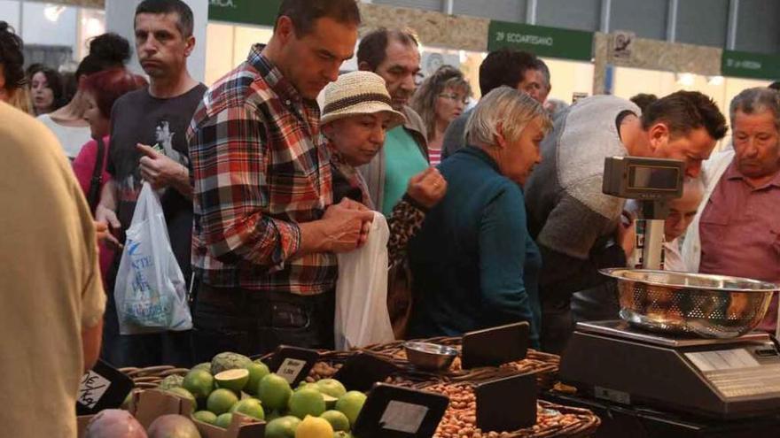 Feria de Ecocultura, el año pasado, en Ifeza.