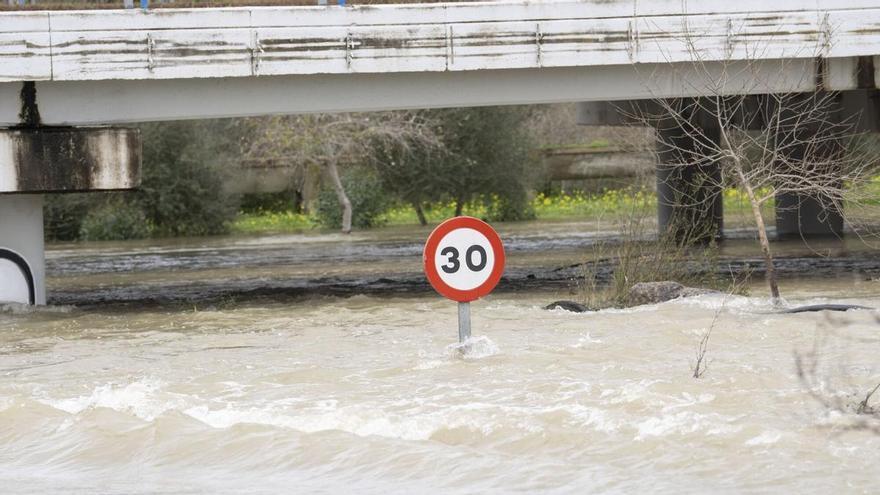 Vídeo | Cortada la MA-224 en Villanueva del Rosario (Málaga) tras desbordarse el Guadalhorce