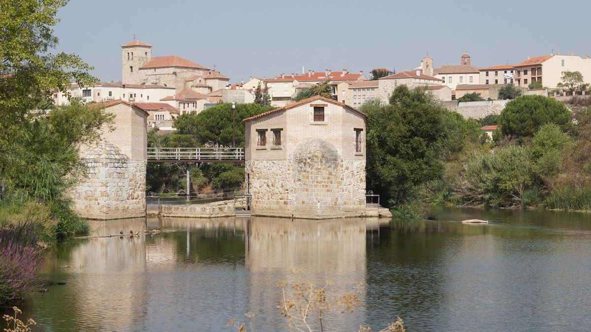 Aceñas de Cabañales