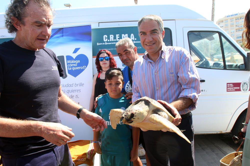 El animal ha permanecido un año en las instalaciones del Aula del Mar de Málaga recuperándose de sus heridas, hasta su completo restablecimiento