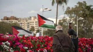 Palestina entra en la campaña