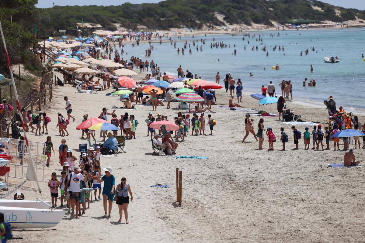 Playa de Ses Salines en plena temporada 2026