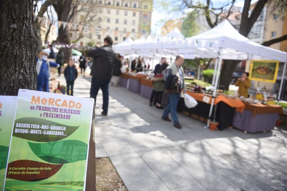 Mercado ecológico en la plaza de España