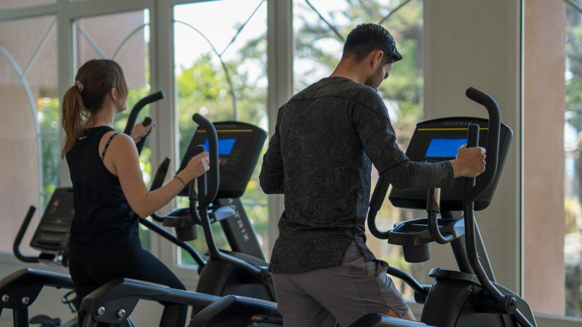 Programas de entrenamiento físico-deportivo.