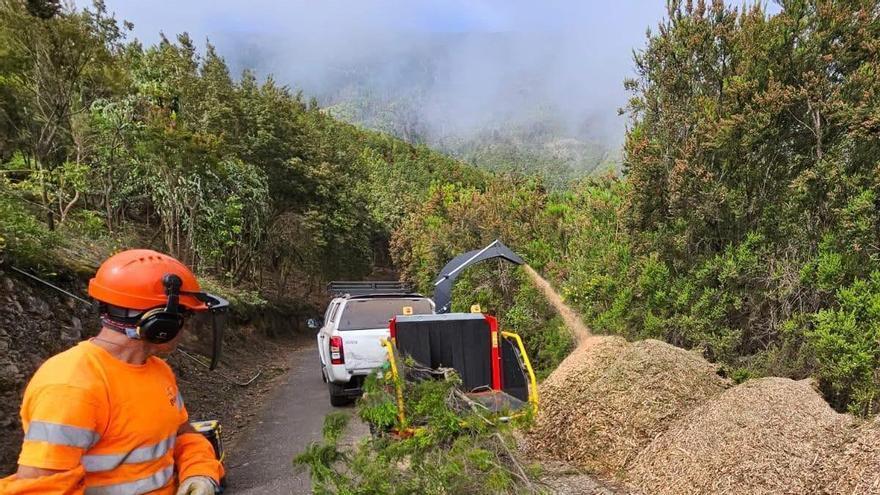 Los Realejos refuerza la gestión preventiva del territorio para frenar el riesgo de incendios forestales