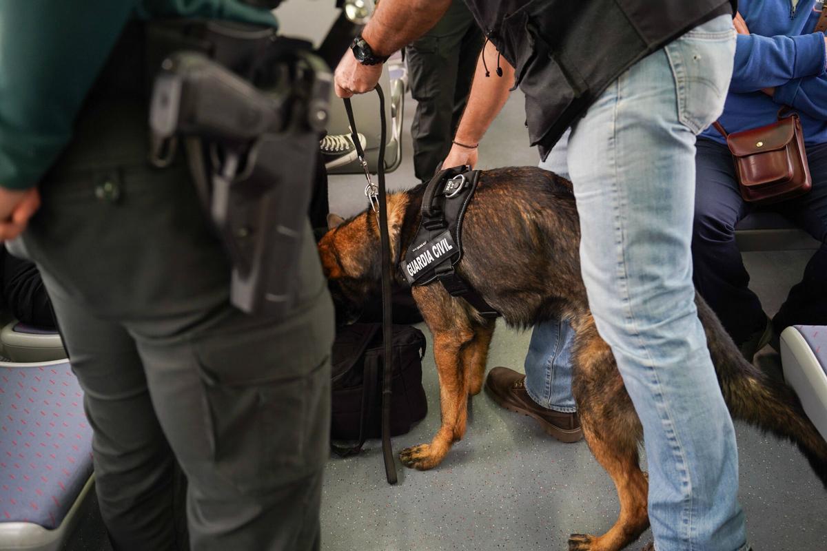 Intervención de la Guardia Civil junto a su unidad canina en un tren de Cercanías, llevando a cabo inspecciones preventivas para detectar drogas y armas