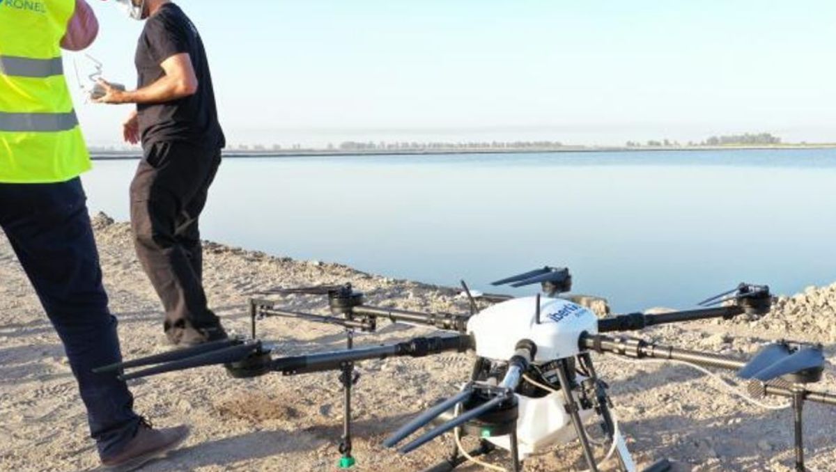 Pruebas con drones en arrozales realizados por la empresa murciana.