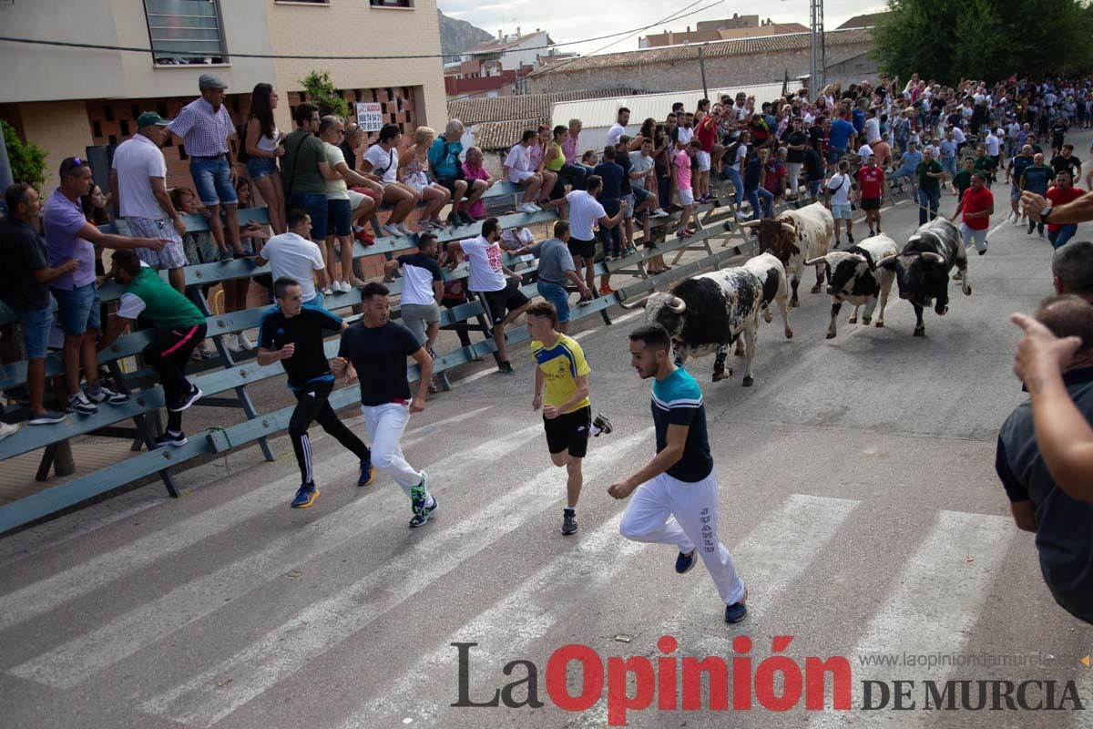 Primer encierro de la Feria del Arroz de Calasparra