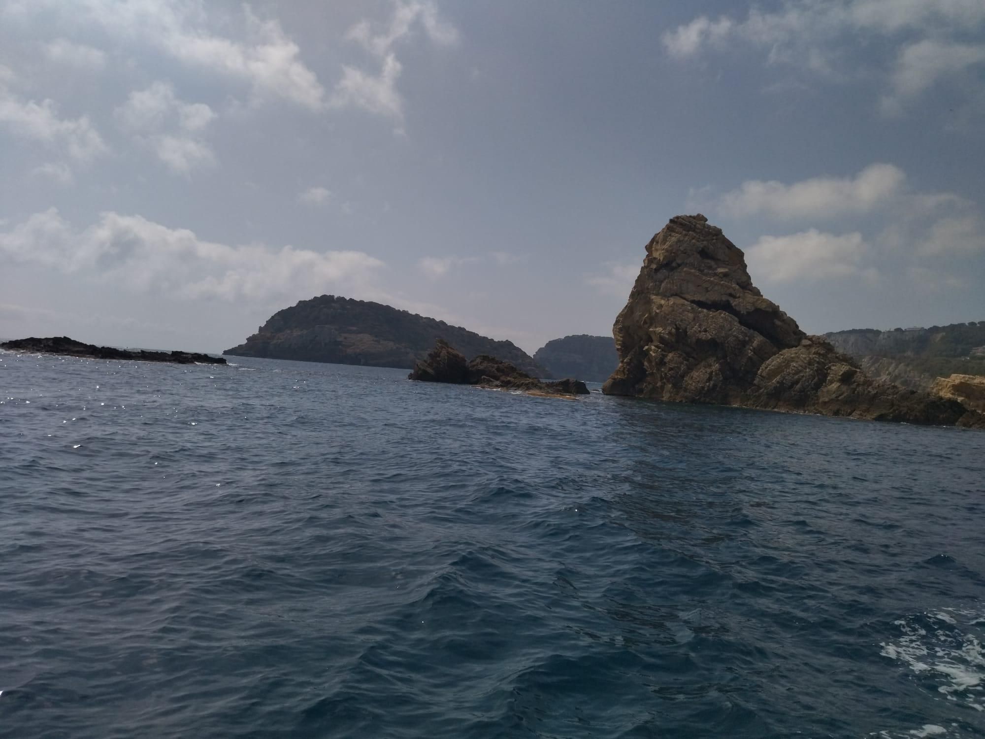Embarcados con los guardianes de la Posidonia oceánica (imágenes)