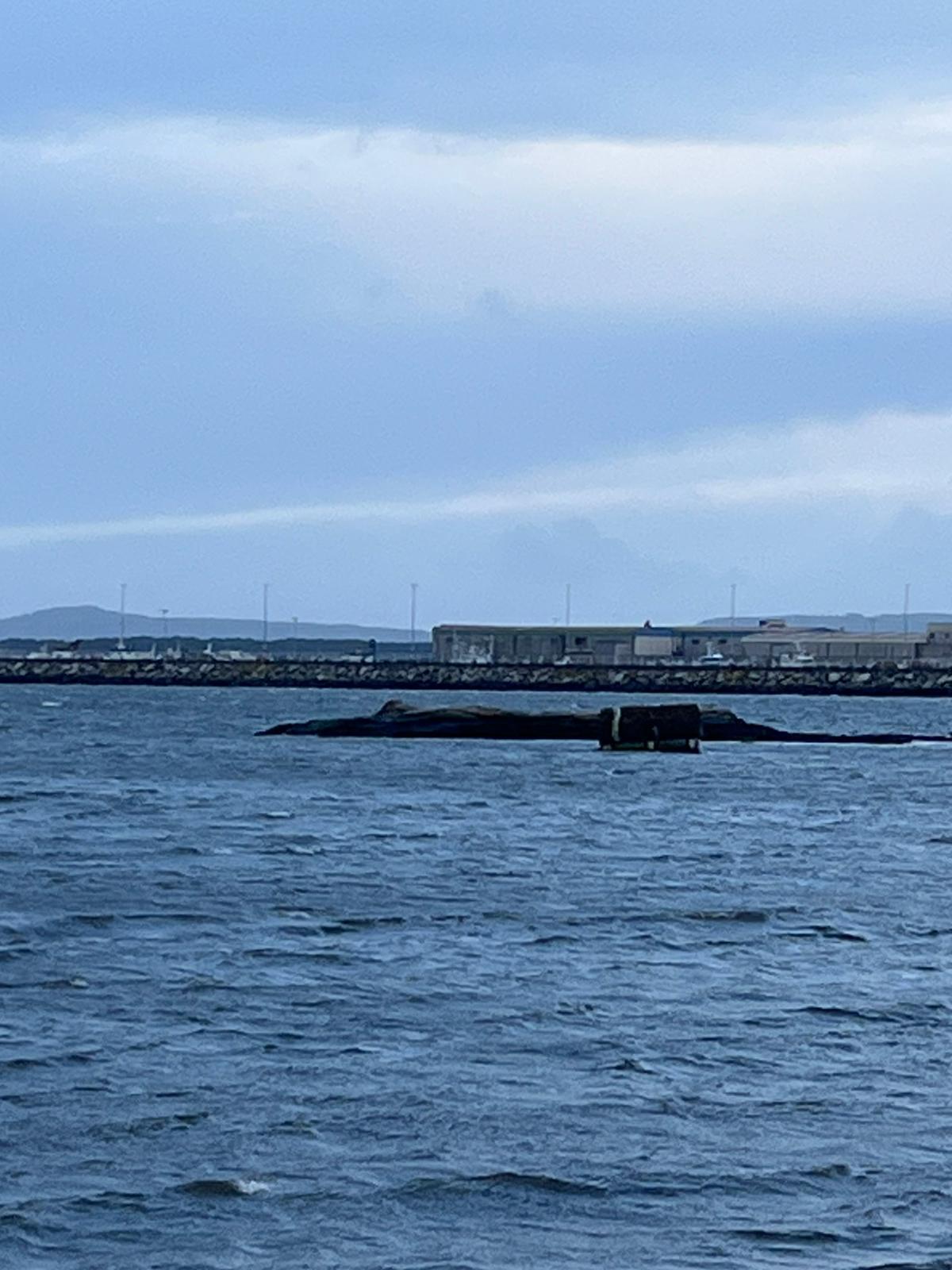 El flotador de una batea varado en Cambados.