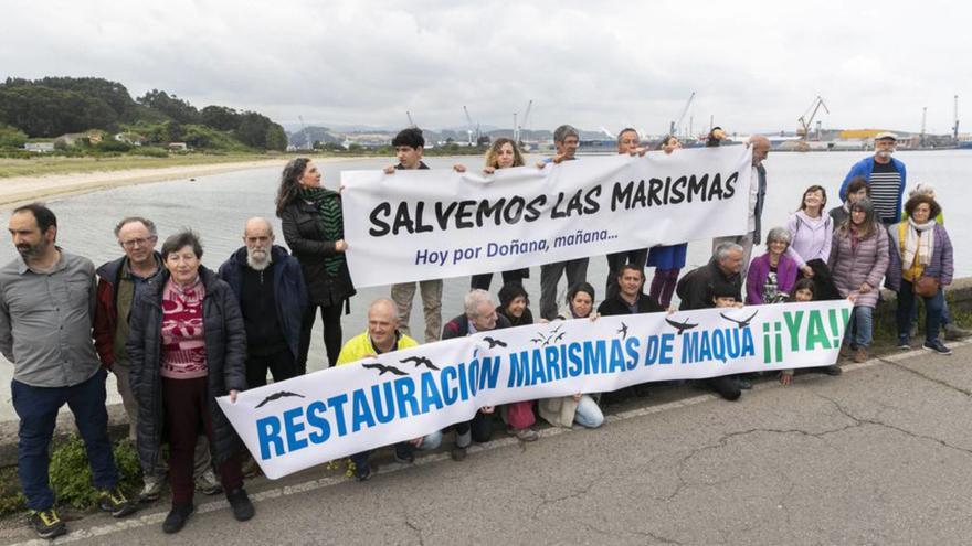 Verdes Equo plantea hacer un puente en las marismas de Maqua