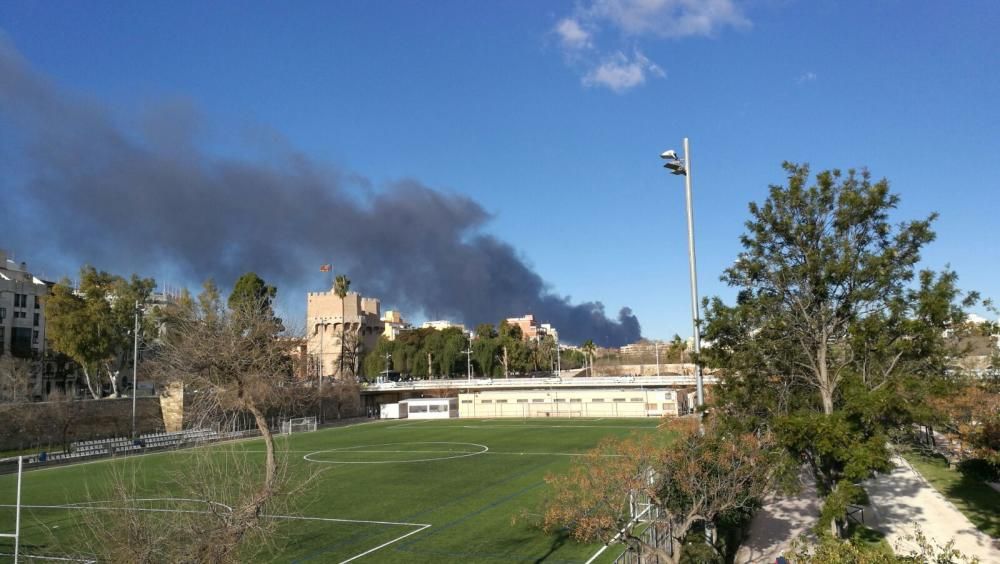 Vistas del incendio desde los jardines del Turia