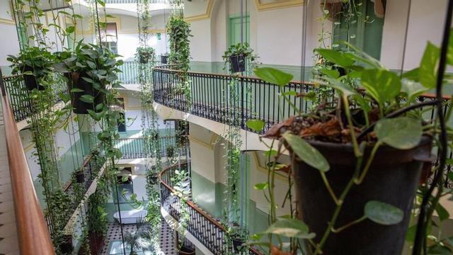 El pati més viral de TikTok és el de l’Hotel Peninsular, oasi modernista amb 60 plantes penjants.
