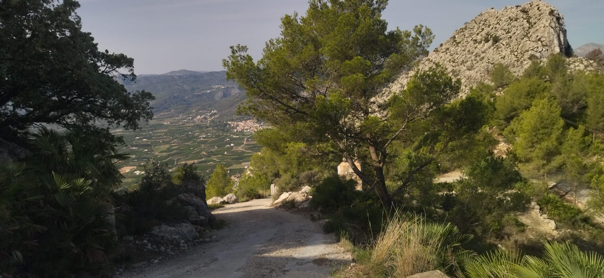 Arroz al norte y naranjos al sur: el paisaje agrícola desde la cima de Segària (imágenes)