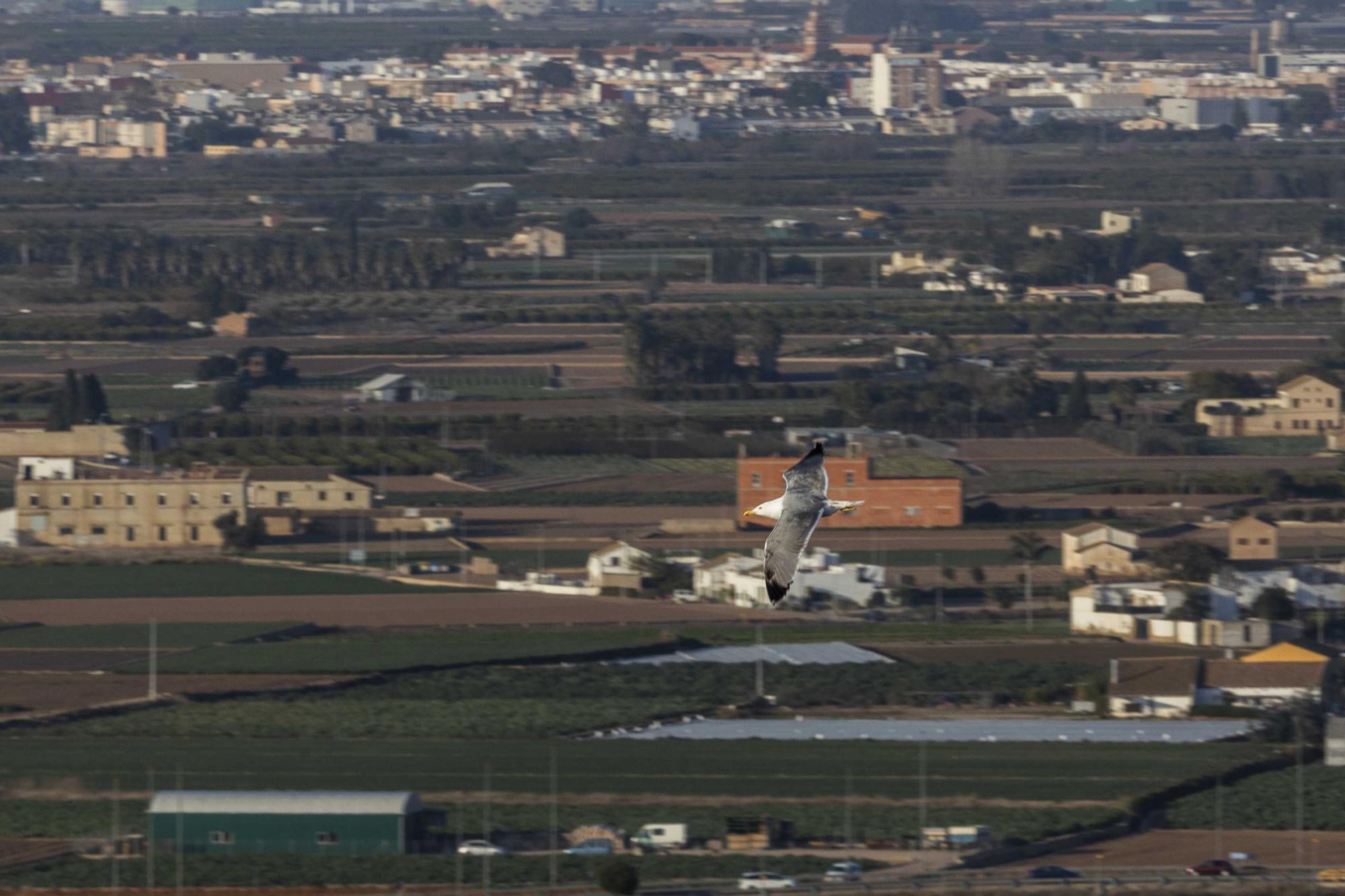 València a vista de pájaro (IV): desde el Eurostars Gran Valencia