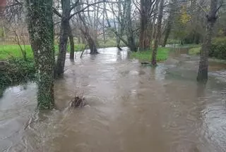 El segundo día más lluvioso del año desborda el Verdugo y el Gafos, y provoca inundaciones