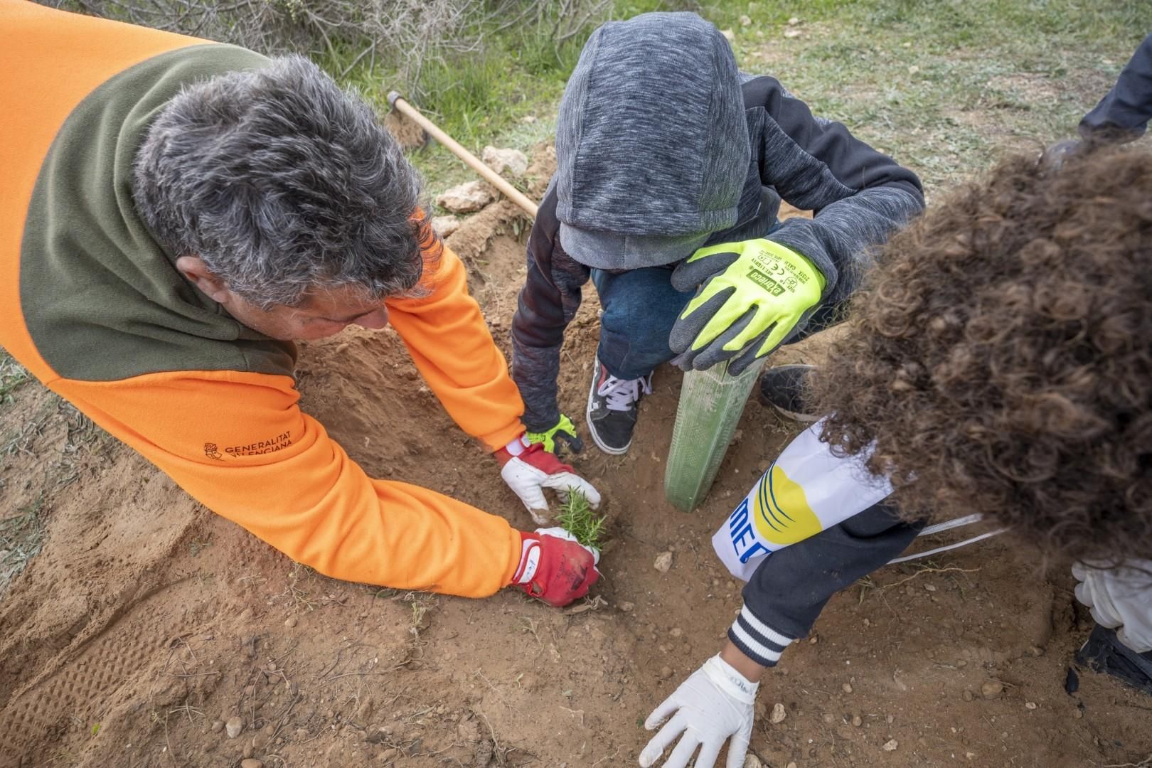 Jornada escolar plantación de especies autóctonas junto al parque natural de las lagunas de Torrevieja y La Mata