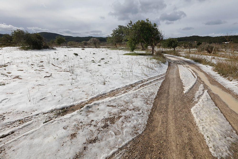 El Pla de Corona en Ibiza amanece con una capa blanca de granizo