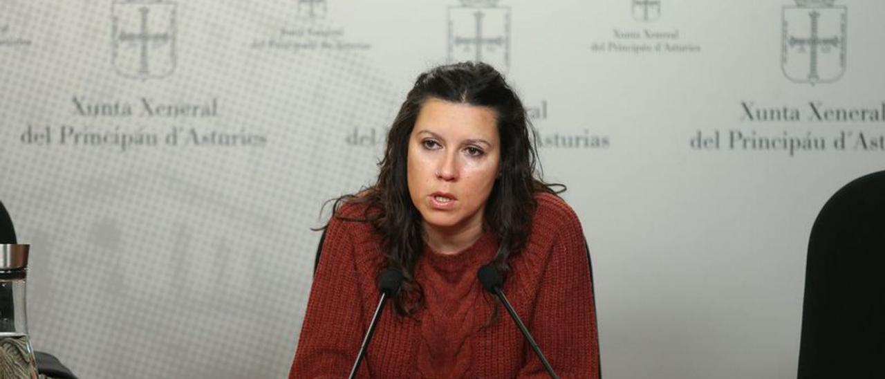 La diputada de Podemos Nuria Rodríguez, ayer, durante la presentación de la proposición. | LNE