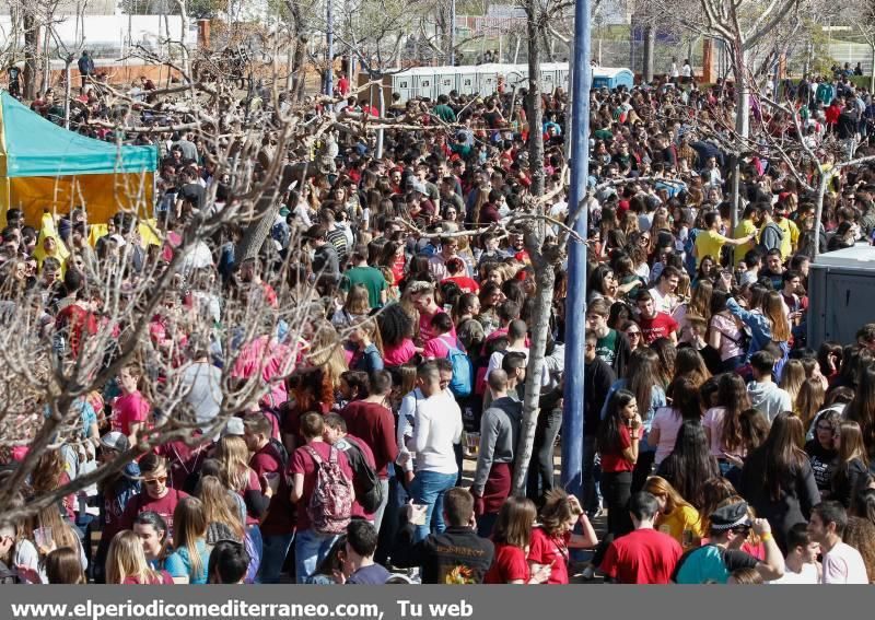 Fiesta paellas