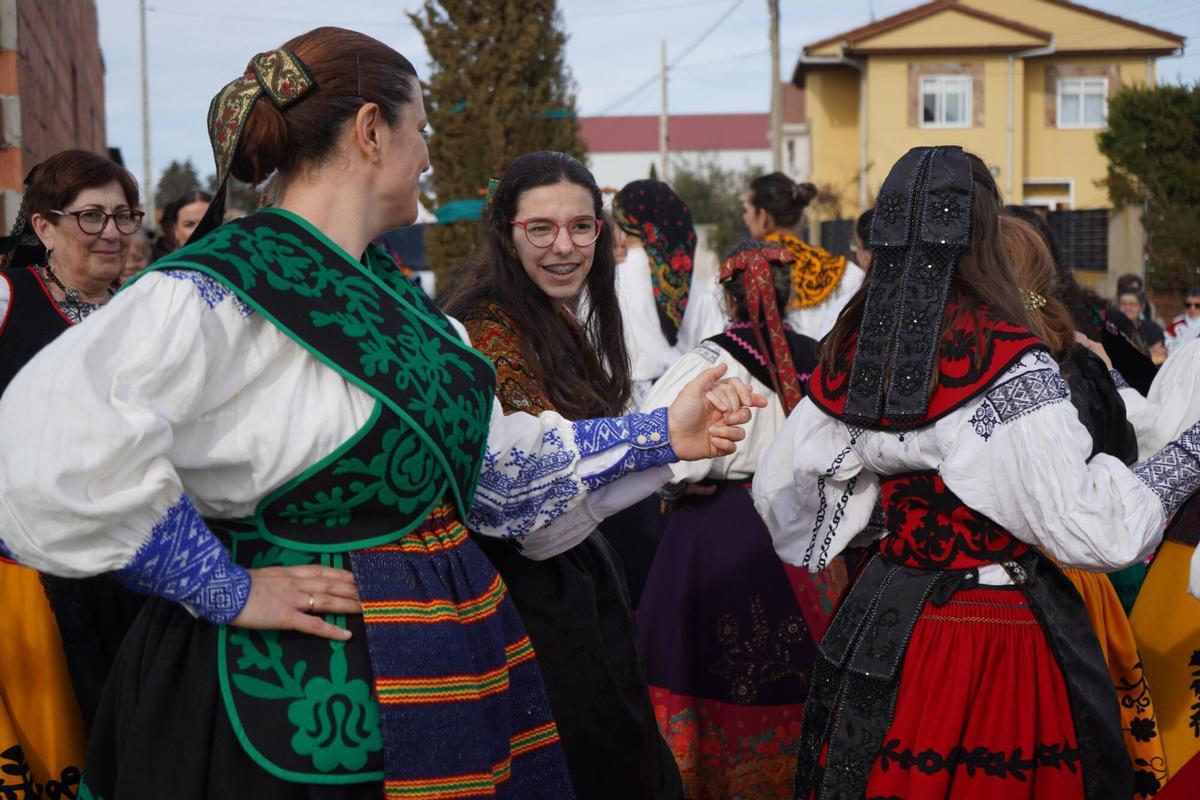 GALERÍA | Benegiles, hasta la bandera para celebrar la Fiesta del CIT GALERÍA | Benegiles, hasta la bandera para celebrar la Fiesta del CIT