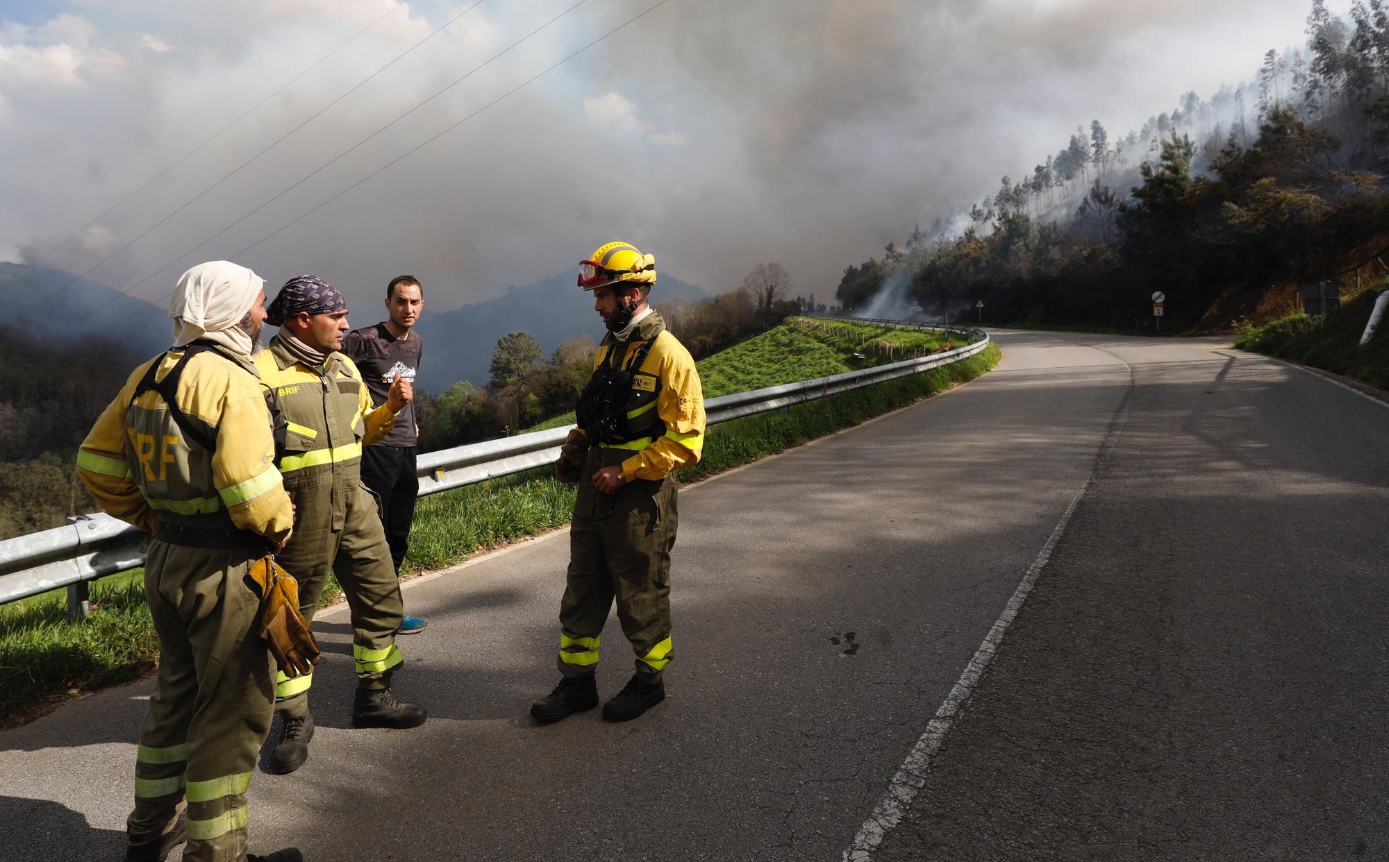 EN IMÁGENES: Gran oleada de incendios en Asturias