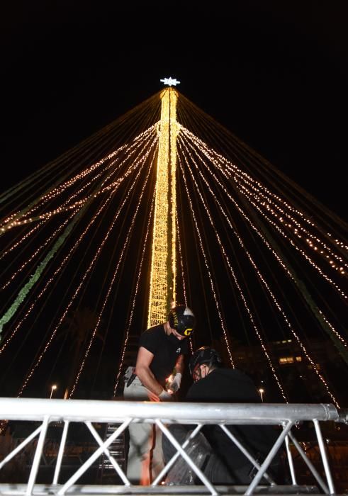 Así se verán las luces del Gran Árbol de Navidad de la Circular de este año