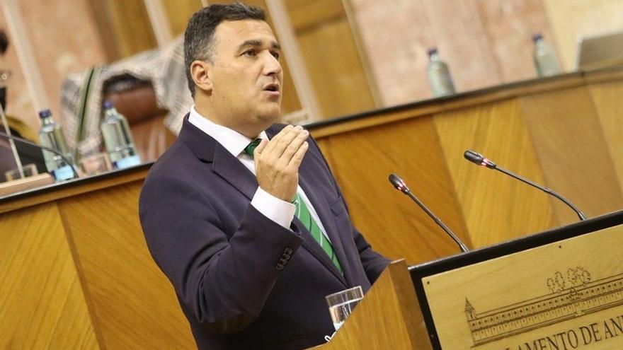 Carlos Hernández White, parlamentario andaluz de Cs por Málaga, en el Parlamento de Andalucía