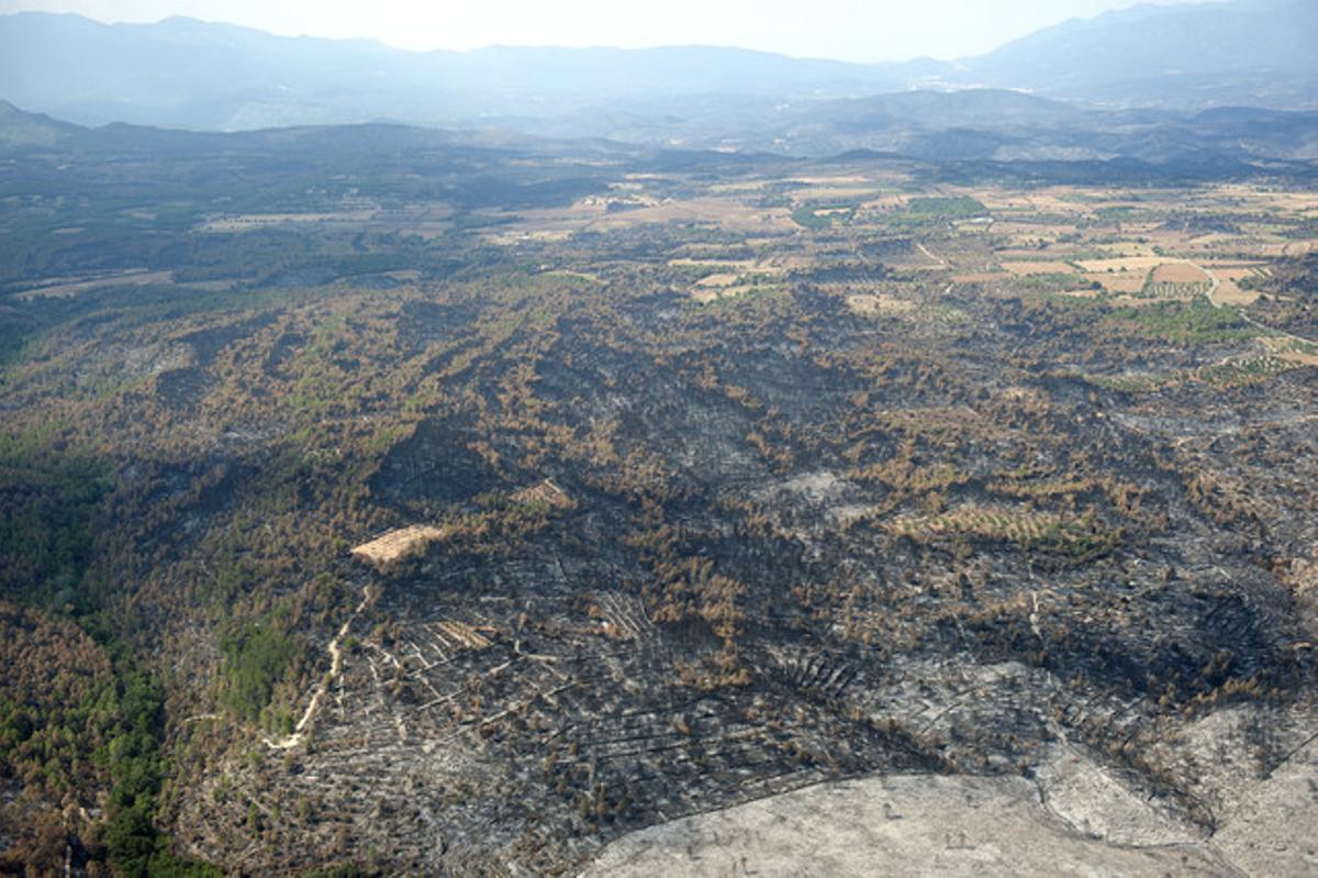 Vista de làrea al nord dAvinyonet de Puigventós