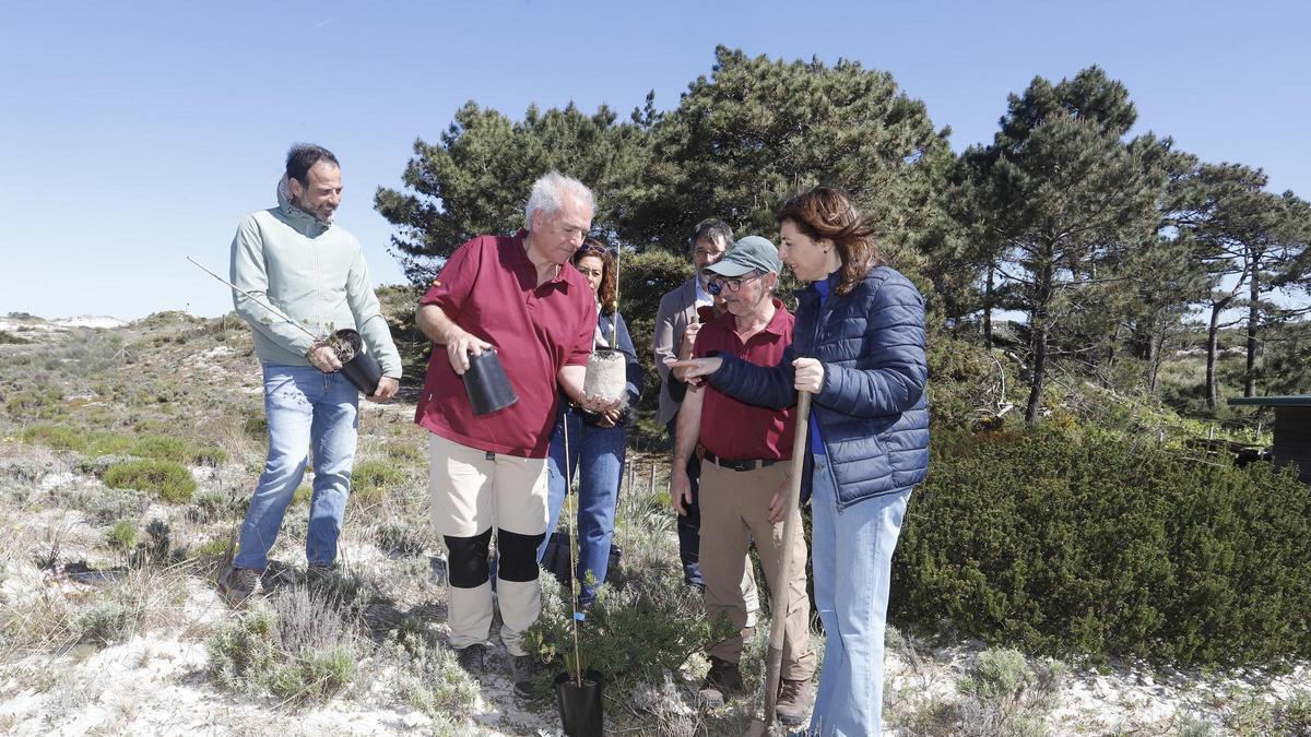 Temporada alta en Cíes y las Illas Atlánticas.