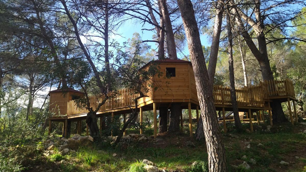 El fuerte camuflado entre los pinos de El Tossalet de Xaló