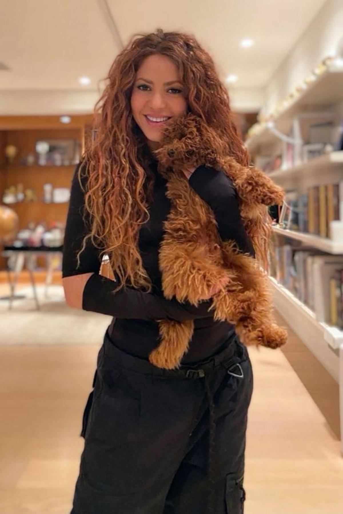 Shakira junto a su perrito, un caniche, Teddy