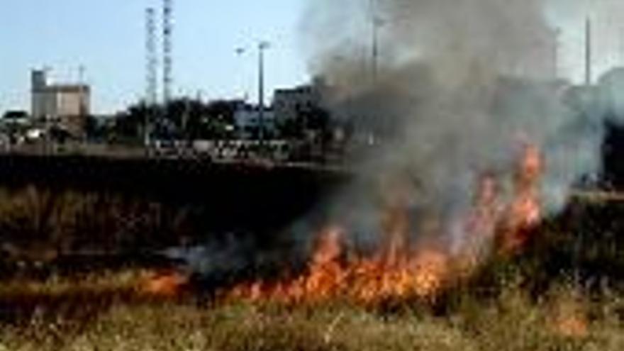 Sofocado un incendio de pastos en la zonade Nuevo Cáceres