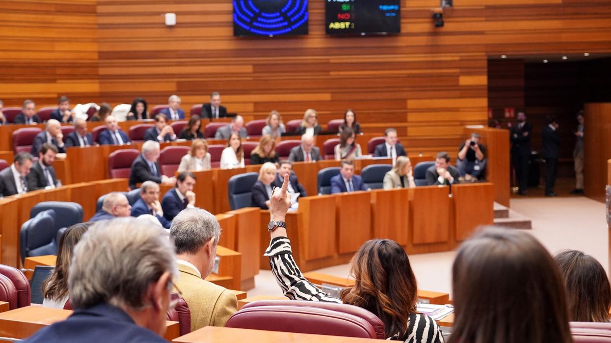 Pleno de las Cortes de Castilla y León.