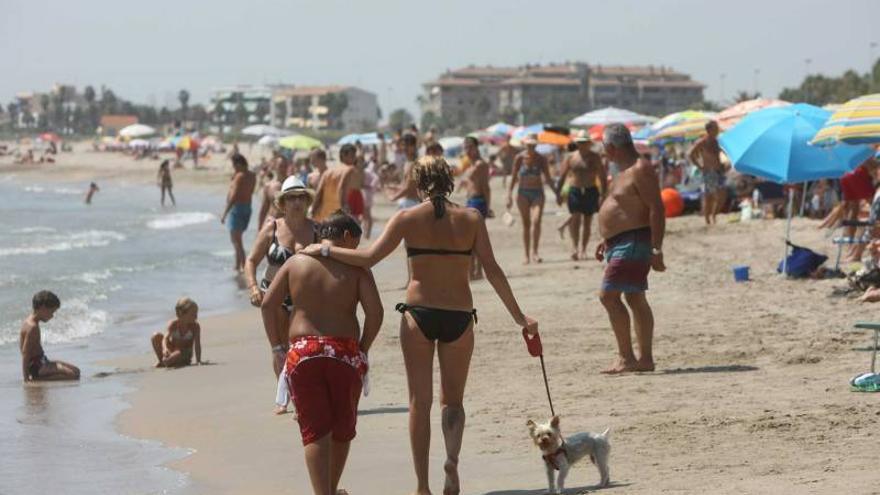 Moncofa se unirá a Vinaròs y tendrá playa para perros