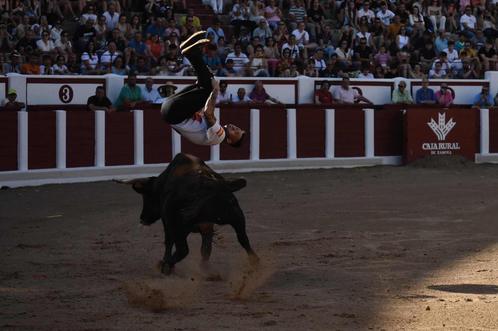 Concurso Recortadores San Pedro 2025