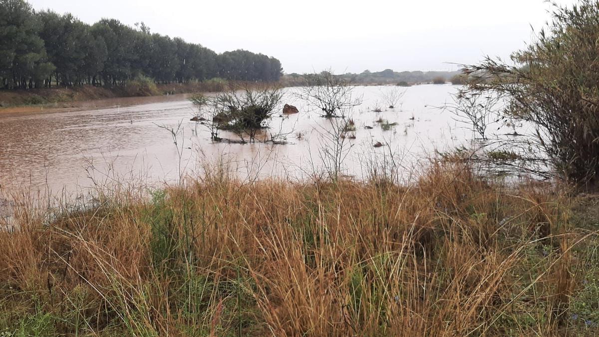 El agua que lleva el Riu Sec ha obligado a cortar algunos de los caminos rurales que unen Vila-real y les Alqueries, como el del Quart Sedeny.