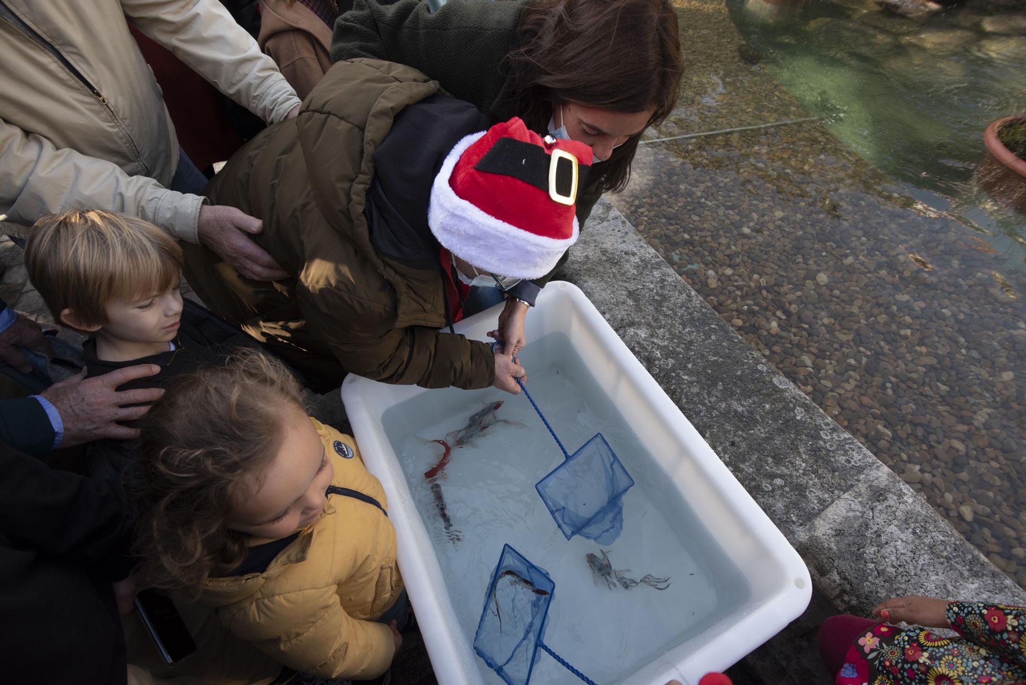 Los peces vuelven a nadar en el estanque de Méndez Núñez