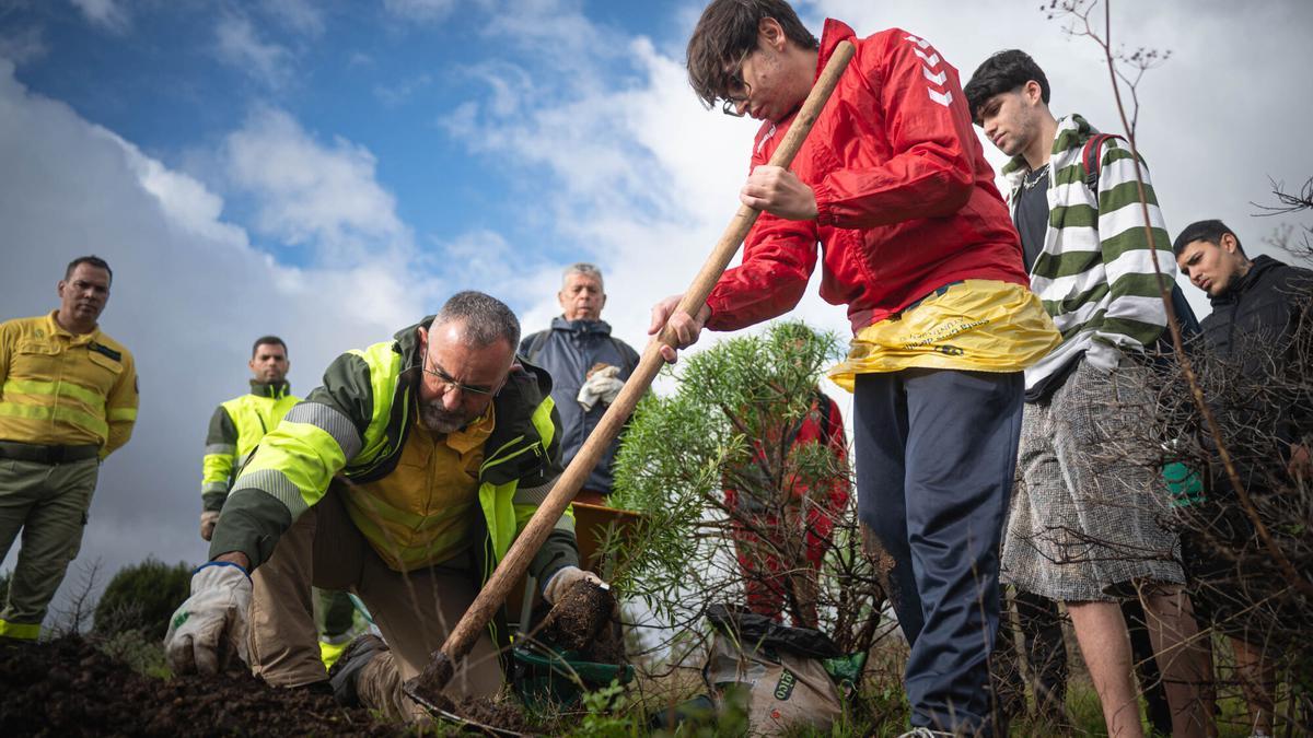 Restauración ecológica del Monte de Las Mesas